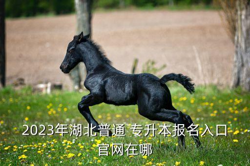 2023年湖北普通 專升本報(bào)名入口官網(wǎng)在哪