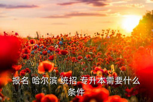 報名 哈爾濱 統(tǒng)招 專升本需要什么條件