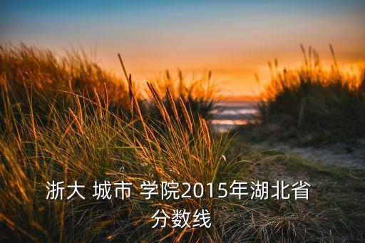 浙大 城市 學(xué)院2015年湖北省 分?jǐn)?shù)線