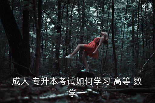 成人 專升本考試如何學習 高等 數(shù)學一