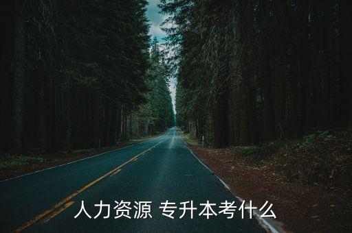 人力資源 專升本考什么