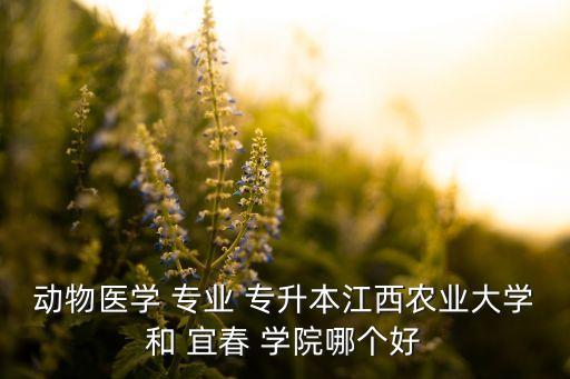 動物醫(yī)學(xué) 專業(yè) 專升本江西農(nóng)業(yè)大學(xué)和 宜春 學(xué)院哪個(gè)好