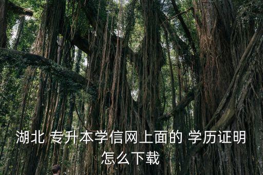 湖北 專升本學(xué)信網(wǎng)上面的 學(xué)歷證明怎么下載