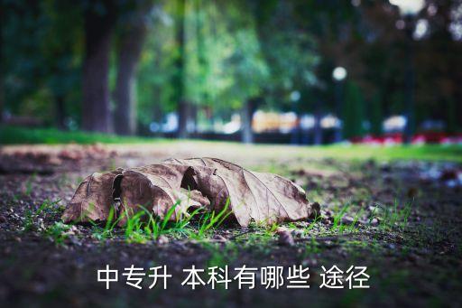 中專升本科有什么途徑,成人教育?？飘厴I(yè)生有兩種選擇