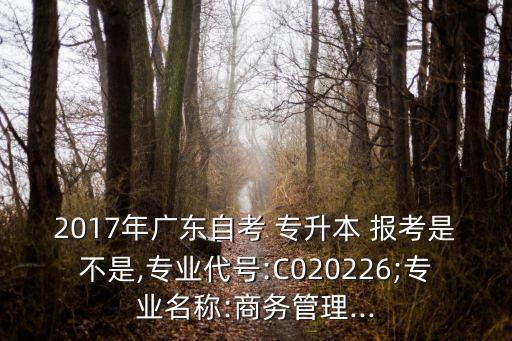 2017年廣東自考 專升本 報考是不是,專業(yè)代號:C020226;專業(yè)名稱:商務(wù)管理...