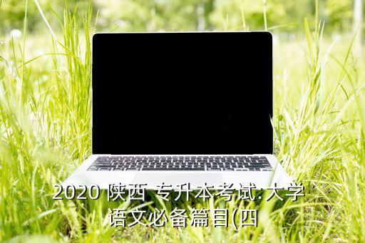 2020 陜西 專升本考試:大學 語文必備篇目(四