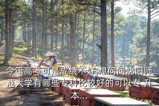 今年高考可是成績(jī)不好,想問(wèn)問(wèn)沈陽(yáng)師范大學(xué)有哪些專科比較好的可以專 升本...