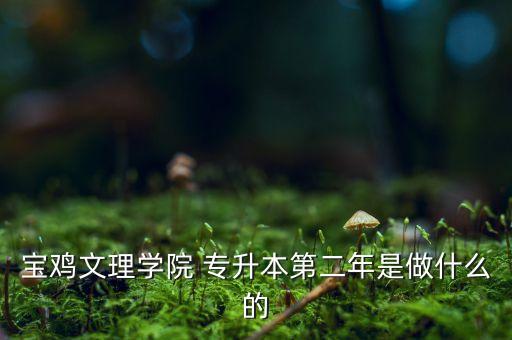 專升本最后一年是干嘛,大學(xué)專升本第二年主要是實習(xí)和就業(yè)