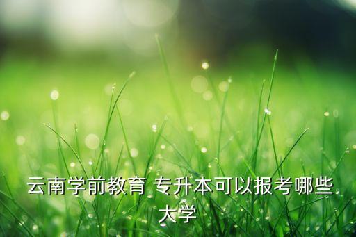  云南學(xué)前教育 專升本可以報考哪些大學(xué)