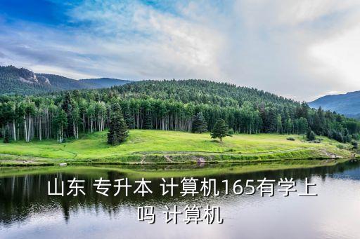  山東 專升本 計(jì)算機(jī)165有學(xué)上嗎 計(jì)算機(jī)