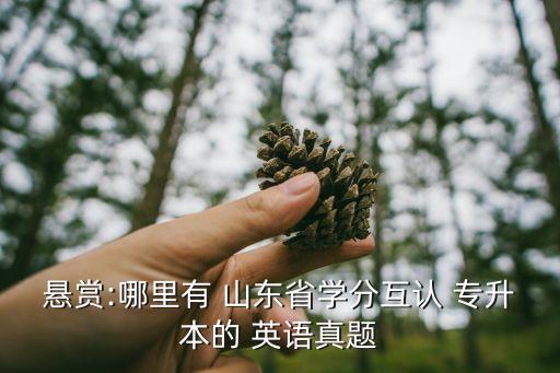 懸賞:哪里有 山東省學(xué)分互認(rèn) 專升本的 英語(yǔ)真題