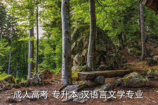 成人高考 專升本 漢語(yǔ)言文學(xué)專業(yè)