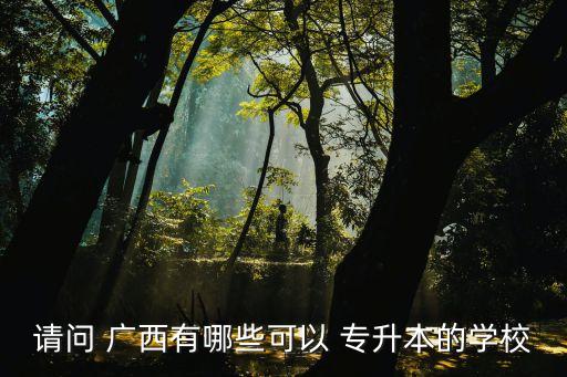 請(qǐng)問(wèn) 廣西有哪些可以 專升本的學(xué)校