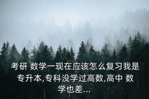  考研 數(shù)學(xué)一現(xiàn)在應(yīng)該怎么復(fù)習(xí)我是 專升本,?？茮]學(xué)過高數(shù),高中 數(shù)學(xué)也差...