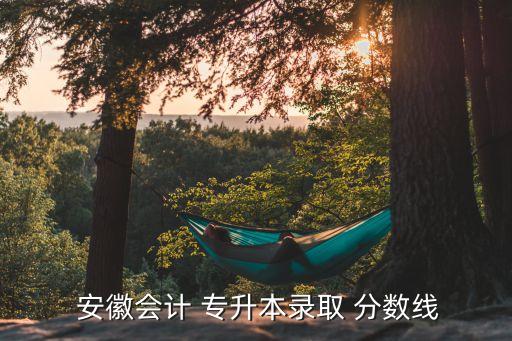  安徽會(huì)計(jì) 專升本錄取 分?jǐn)?shù)線