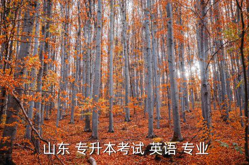 專升本 山東 英語(yǔ)專業(yè),本屆大選招生簡(jiǎn)介