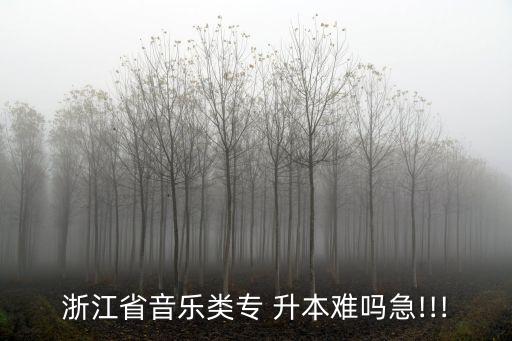 浙師大專升本容易嗎,浙江師范大學(xué)不好考，考完都難!