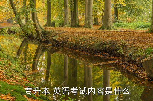  專升本 英語(yǔ)考試內(nèi)容是什么