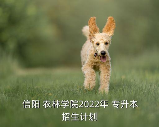  信陽 農(nóng)林學(xué)院2022年 專升本招生計劃