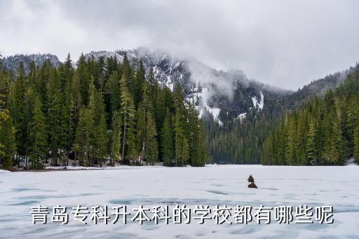 青島理工大學(xué)專升本,青島成人高考專升本招生類別增至本科學(xué)歷