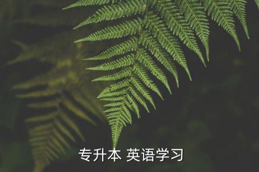 安徽專升本英語參考書,專升本英語四大重點須知道這五點!