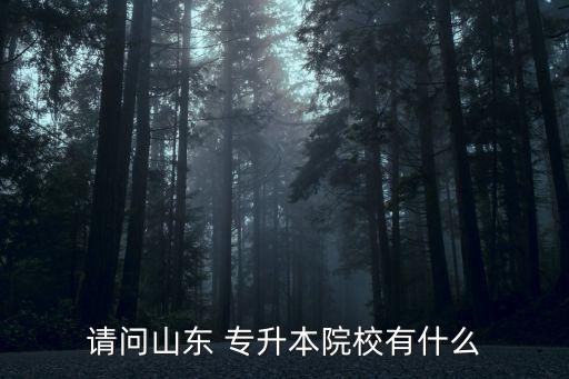 請問山東 專升本院校有什么