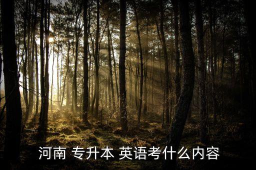 河南英語(yǔ)專升本,河南專升本文化科目考試語(yǔ)文科目安排