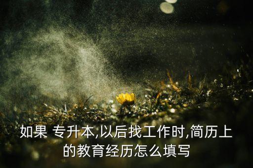 如果 專升本,以后找工作時,簡歷上的教育經(jīng)歷怎么填寫