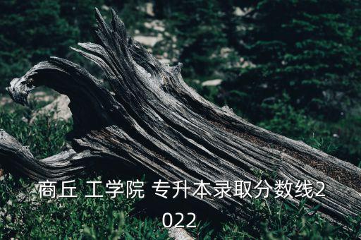  商丘 工學(xué)院 專升本錄取分數(shù)線2022