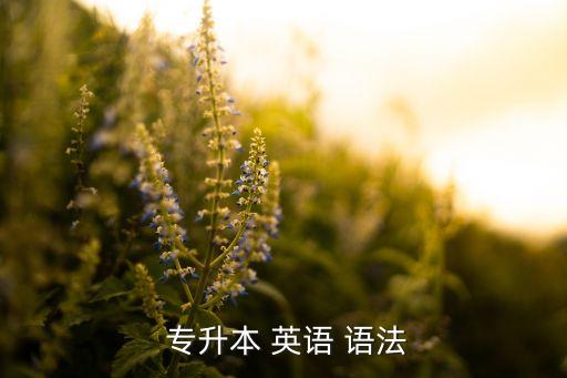  專(zhuān)升本 英語(yǔ) 語(yǔ)法