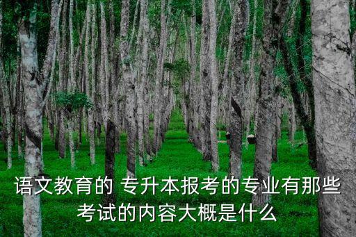 語文教育的 專升本報考的專業(yè)有那些考試的內(nèi)容大概是什么