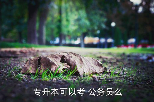  專升本可以考 公務(wù)員么