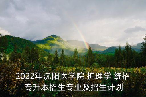 2022年沈陽醫(yī)學(xué)院 護(hù)理學(xué) 統(tǒng)招 專升本招生專業(yè)及招生計劃