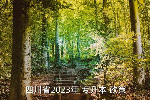  四川省2023年 專升本 政策