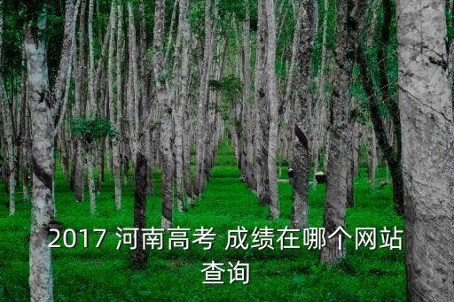 2017 河南高考 成績(jī)?cè)谀膫€(gè)網(wǎng)站查詢