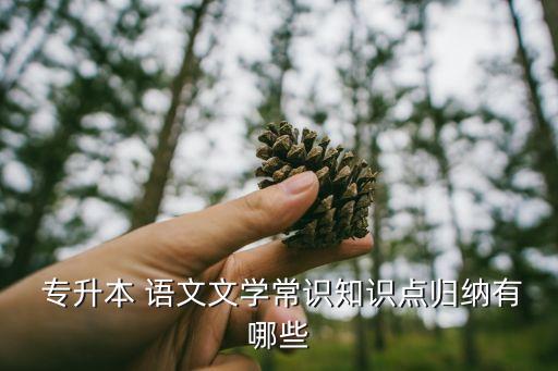  專升本 語文文學(xué)常識知識點歸納有哪些