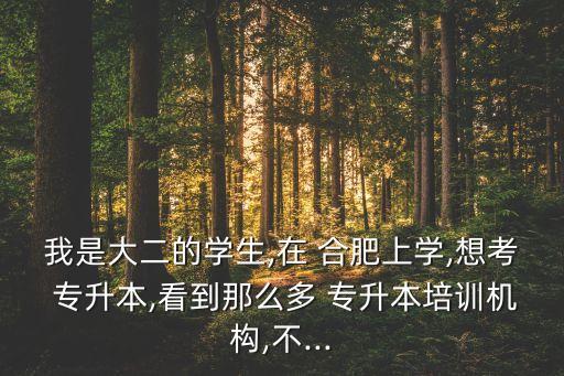 合肥正規(guī)專升本,合肥天翼和精英專升本你們晚上好嗎?