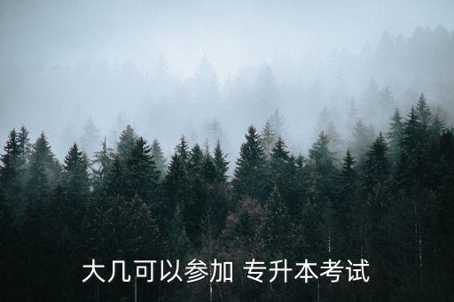 大幾可以參加 專(zhuān)升本考試