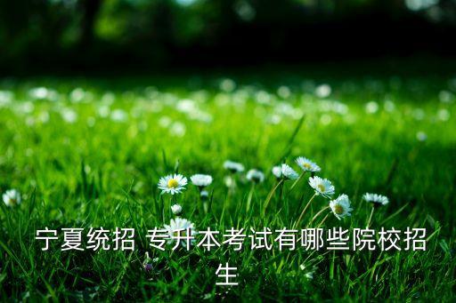 寧夏理工專升本錄取,寧夏高等學(xué)府招生計劃