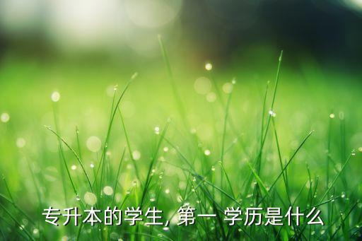 專升本考試第一學(xué)歷,普通高等教育專升本第一學(xué)歷為大專