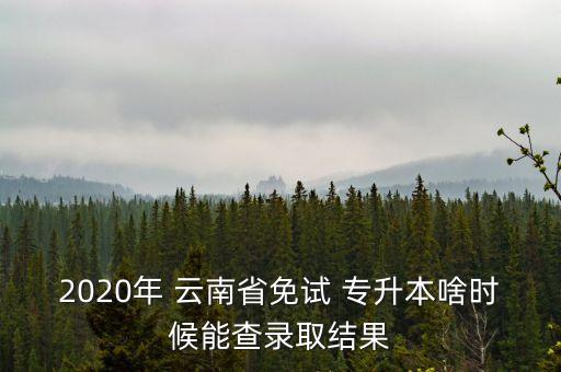 2020年 云南省免試 專升本啥時(shí)候能查錄取結(jié)果