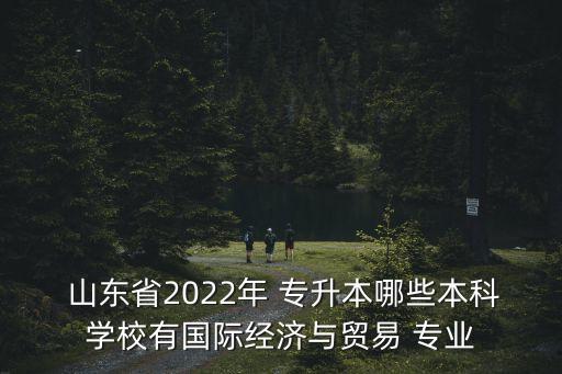  山東省2022年 專升本哪些本科學(xué)校有國際經(jīng)濟與貿(mào)易 專業(yè)