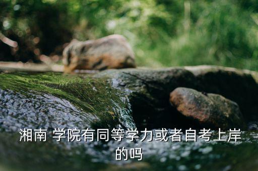 湘南學(xué)院專(zhuān)升本錄取線