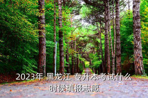 2023年 黑龍江 專升本考試什么時(shí)候填報(bào)志愿