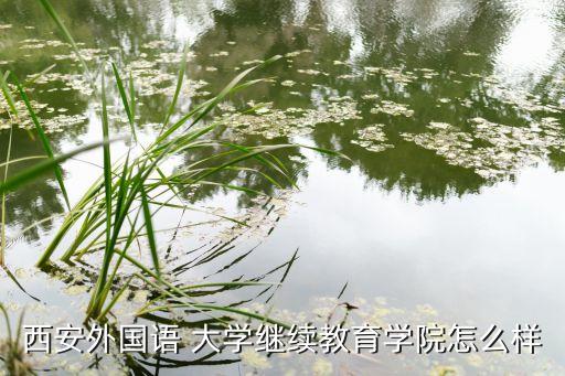 西安外國(guó)語 大學(xué)繼續(xù)教育學(xué)院怎么樣