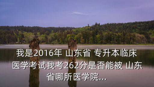 我是2016年 山東省 專升本臨床醫(yī)學(xué)考試我考262分是否能被 山東省哪所醫(yī)學(xué)院...