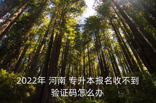 2022年 河南 專升本報名收不到驗證碼怎么辦