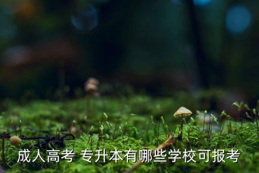 成人高考 專升本有哪些學(xué)校可報(bào)考