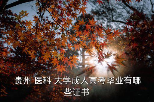  貴州 醫(yī)科 大學(xué)成人高考畢業(yè)有哪些證書