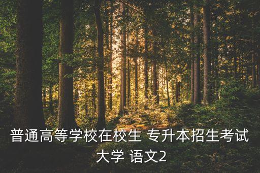 普通高等學(xué)校在校生 專升本招生考試 大學(xué) 語文2